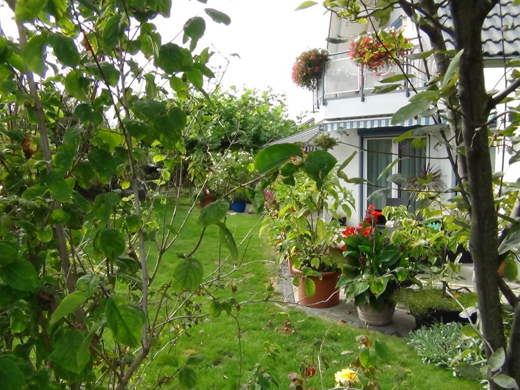 Haus Erika Am Weg Bed and Breakfast Kesswil Εξωτερικό φωτογραφία